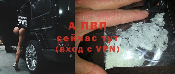 apvp Алзамай