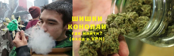apvp Алзамай