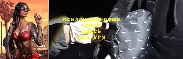 apvp Алзамай