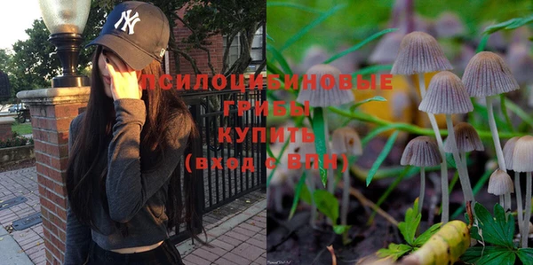 apvp Алзамай